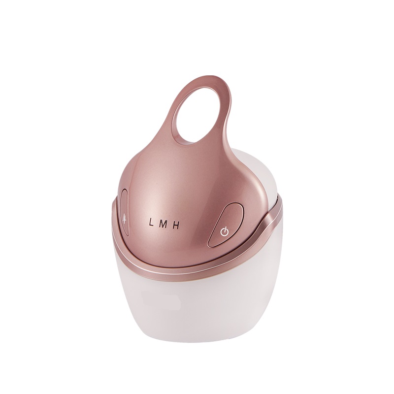 Dispositif électrique multifonctionnel de raffermissement de la peau, équipement de beauté Anti-rides, Ems Rf