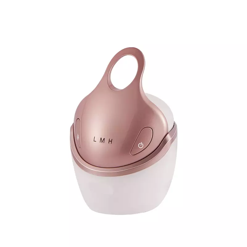 Multi-functional Ems Rf Face Lift Anti Wrinkle Electric Beauty Equipment Skin Tightening Device Dispositif électrique multifonctionnel de raffermissement de la peau, équipement de beauté Anti-rides, Ems Rf